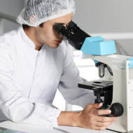 technik laboratoryjny podczas oceny próbek pod mikroskopem